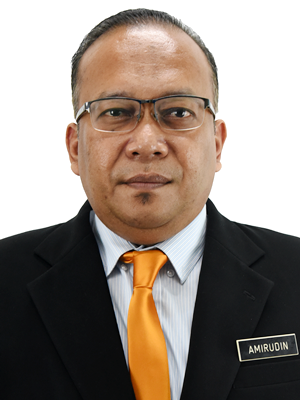AMIRUDIN BIN MOHD SALIM