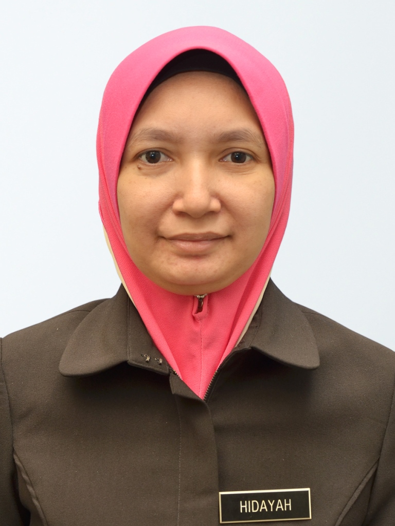 NUR HIDAYAH BINTI NORDIN